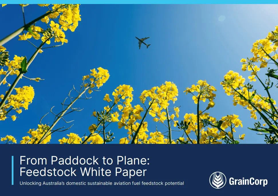 jet airplane flying with renewable fuel